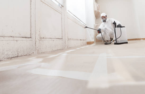 24/7 Emergency Mold Removal experts in San Antonio, FL